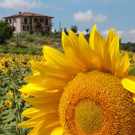 B&B Il Girasole - Rooms & House In Country - 1500 Meters From Historic Center Монтепульчано Экстерьер фото