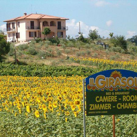 B&B Il Girasole - Rooms & House In Country - 1500 Meters From Historic Center Монтепульчано Экстерьер фото