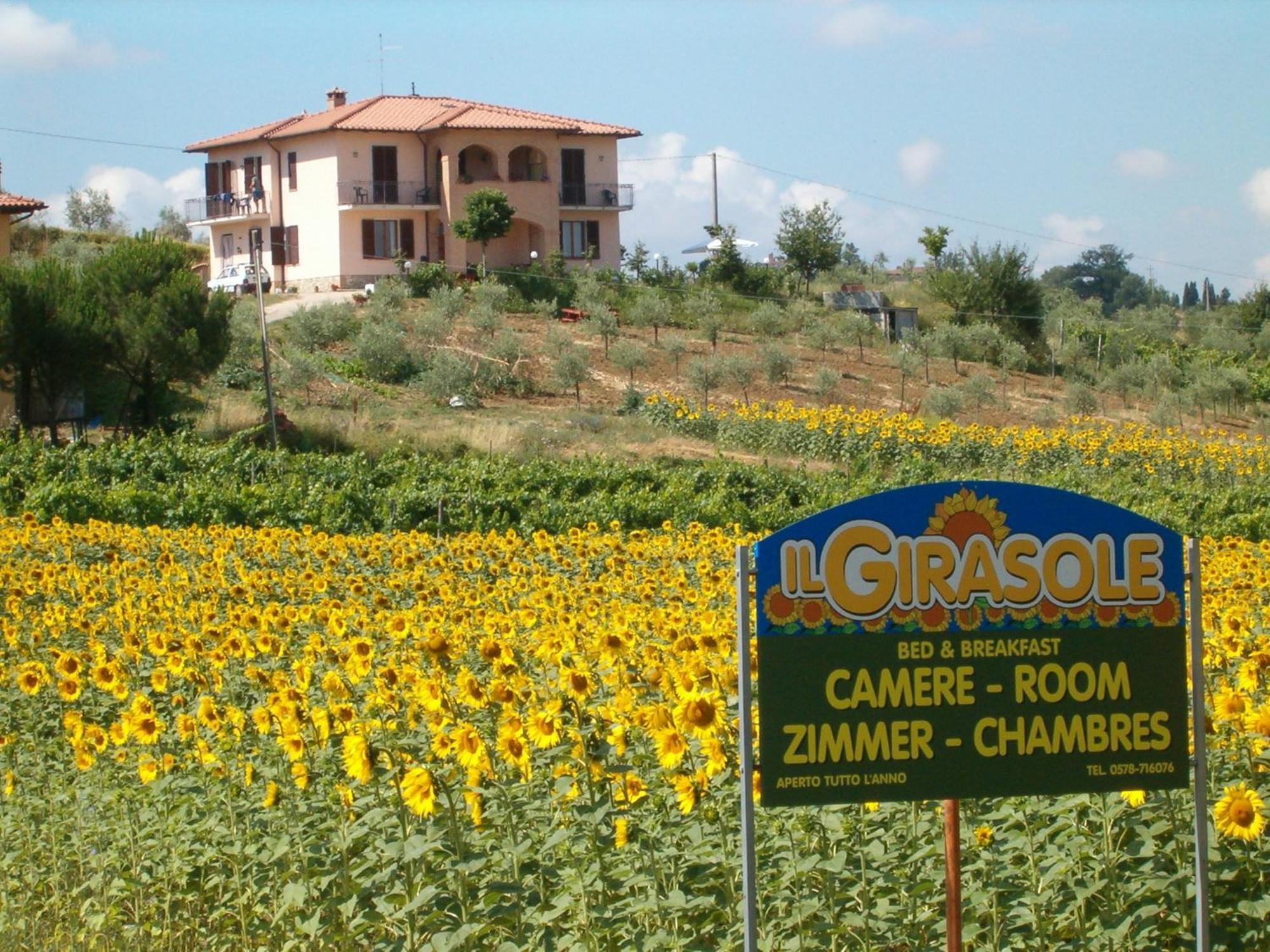 B&B Il Girasole - Rooms & House In Country - 1500 Meters From Historic Center Монтепульчано Экстерьер фото