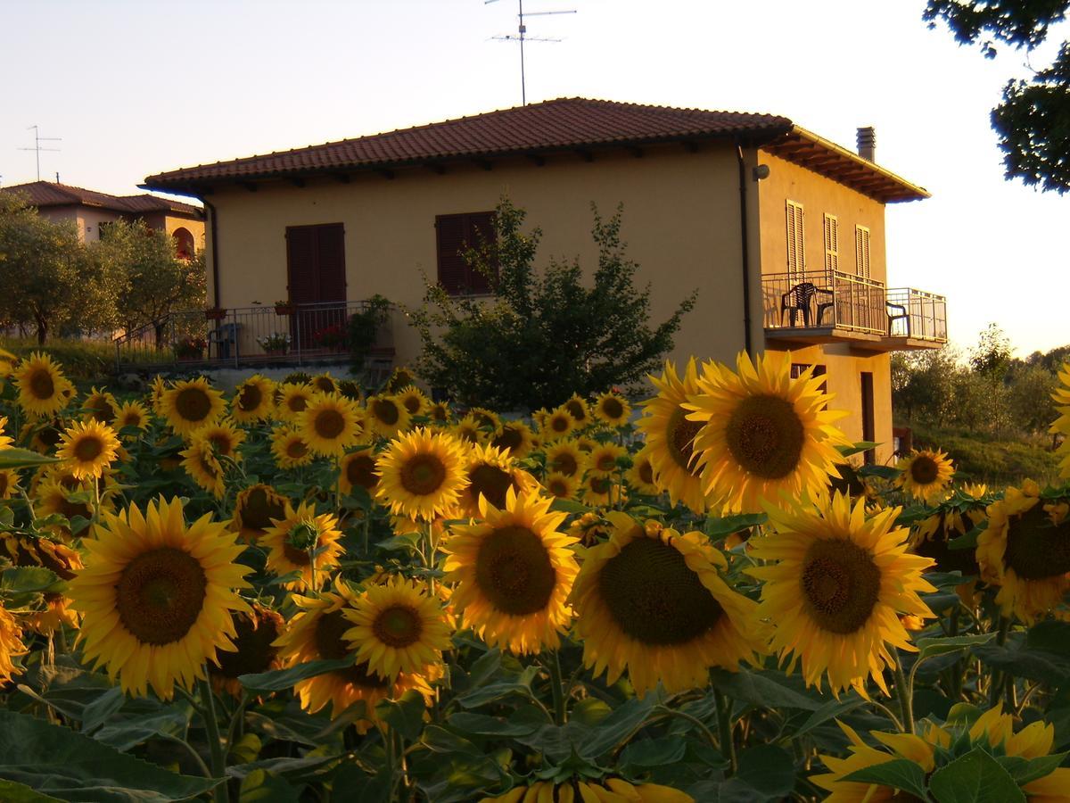 B&B Il Girasole - Rooms & House In Country - 1500 Meters From Historic Center Монтепульчано Экстерьер фото